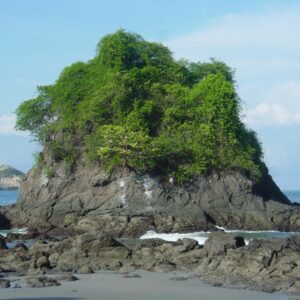 Colones costaricains